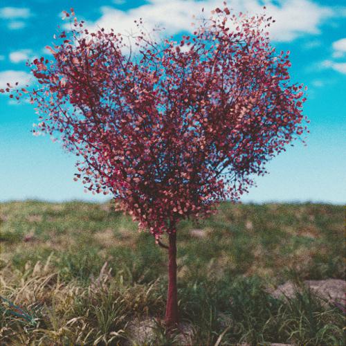 Heart Shaped Tree preview image